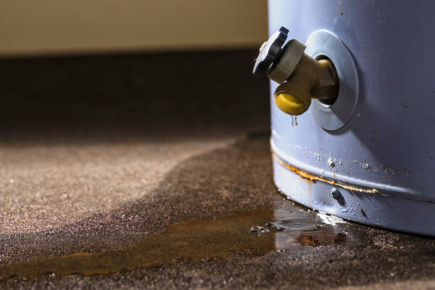Best Flooded house restoration  in Ashland, WI