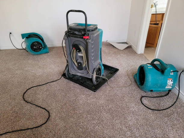 Best Professional water damage repair  in Ashland, WI
