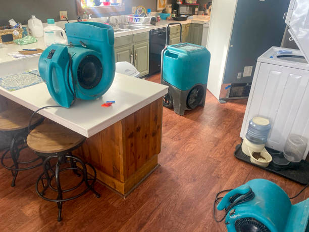 Best Water damage restoration near me  in Ashland, WI