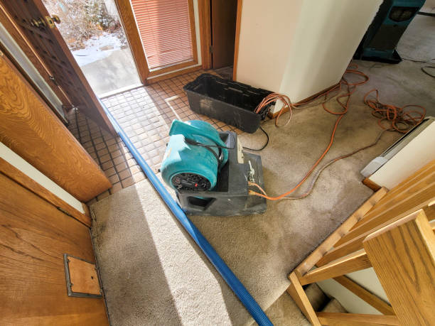 Best Commercial water damage restoration  in Ashland, WI