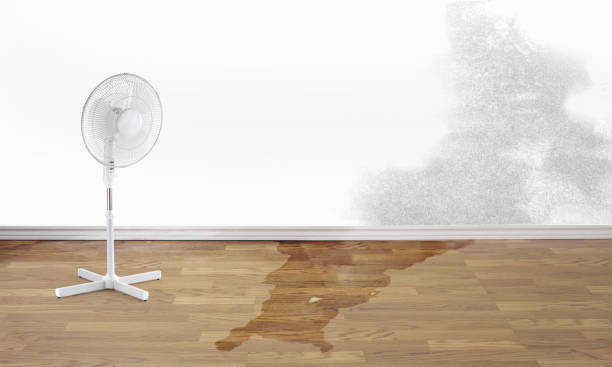 Best 24-hour water damage restoration  in Ashland, WI