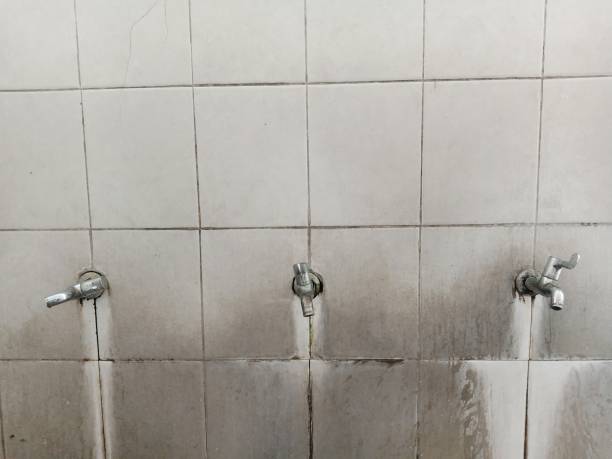 Best Water damage cleanup near me  in Ashland, WI