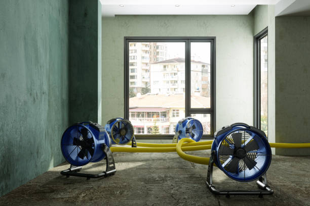 Best Local water damage restoration  in Ashland, WI